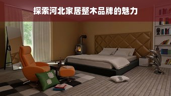探索河北家居整木品牌的魅力