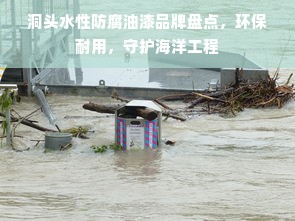 洞头水性防腐油漆品牌盘点，环保耐用，守护海洋工程