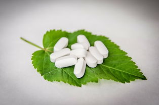 吉林医药品牌大盘点，了解这些品牌，走进健康之路