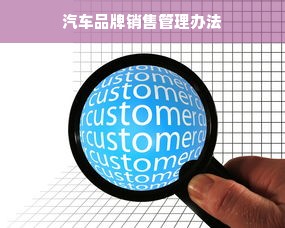 汽车品牌销售管理办法