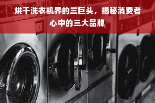 烘干洗衣机界的三巨头，揭秘消费者心中的三大品牌