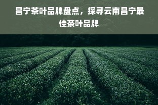 昌宁茶叶品牌盘点，探寻云南昌宁最佳茶叶品牌