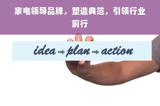 家电领导品牌，塑造典范，引领行业前行