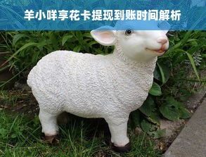 羊小咩享花卡提现到账时间解析