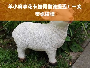 羊小咩享花卡如何借钱提现？一文带你搞懂