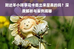 附近羊小咩享花卡套出来是真的吗？深度解析与案例揭秘