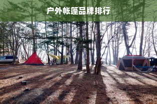 户外帐篷品牌排行