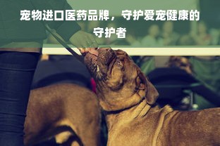 宠物进口医药品牌，守护爱宠健康的守护者