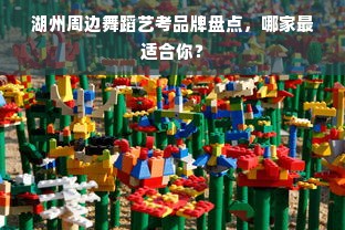 湖州周边舞蹈艺考品牌盘点，哪家最适合你？