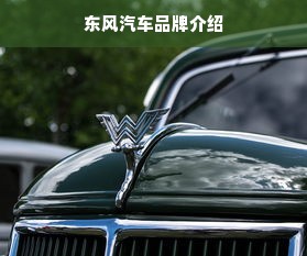 东风汽车品牌介绍