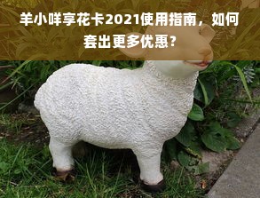 羊小咩享花卡2021使用指南，如何套出更多优惠？