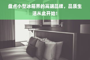 盘点小型冰箱界的高端品牌，品质生活从此开始！