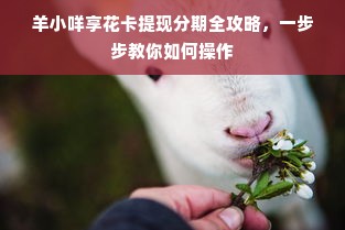 羊小咩享花卡提现分期全攻略，一步步教你如何操作