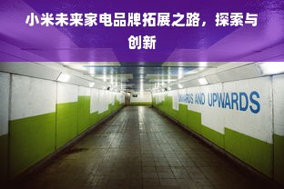 小米未来家电品牌拓展之路，探索与创新