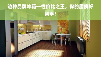 边种品牌冰箱—性价比之王，你的厨房好帮手！