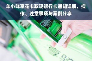 羊小咩享花卡取现银行卡通知详解，操作、注意事项与案例分享
