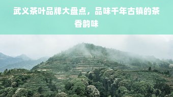 武义茶叶品牌大盘点，品味千年古镇的茶香韵味