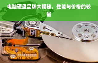 电脑硬盘品牌大揭秘，性能与价格的较量