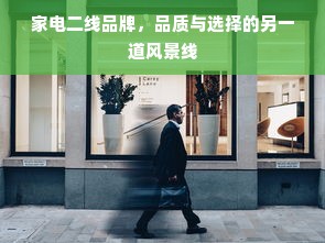 家电二线品牌，品质与选择的另一道风景线