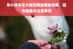 羊小咩享花卡提现网站模板详解，操作指南与注意事项