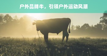 户外品牌牛，引领户外运动风潮