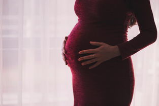 孕期护肤新宠—水鱼油孕妇面膜，呵护孕妈美丽肌肤！