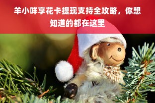 羊小咩享花卡提现支持全攻略，你想知道的都在这里