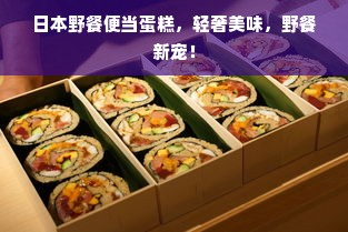 日本野餐便当蛋糕，轻奢美味，野餐新宠！