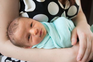 2023年母乳冰箱品牌排行榜，妈妈们的贴心选择！