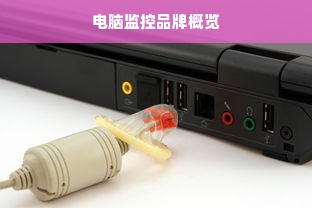 电脑监控品牌概览