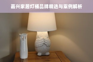 嘉兴家居灯桶品牌精选与案例解析