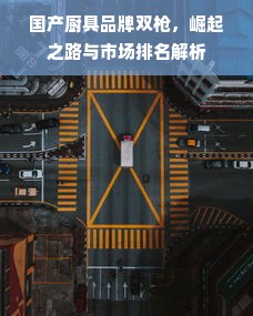 国产厨具品牌双枪，崛起之路与市场排名解析