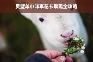 灵璧羊小咩享花卡取现全攻略