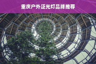 重庆户外泛光灯品牌推荐