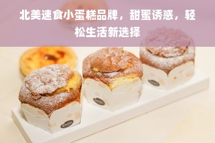 北美速食小蛋糕品牌，甜蜜诱惑，轻松生活新选择