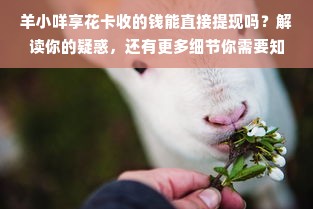 羊小咩享花卡收的钱能直接提现吗？解读你的疑惑，还有更多细节你需要知道