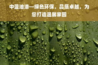 中蓝油漆—绿色环保，品质卓越，为您打造温馨家园