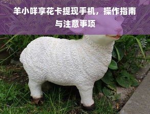 羊小咩享花卡提现手机，操作指南与注意事项