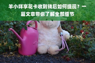 羊小咩享花卡收到钱后如何提现？一篇文章带你了解全部细节