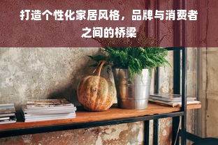 打造个性化家居风格，品牌与消费者之间的桥梁