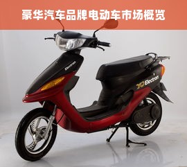豪华汽车品牌电动车市场概览