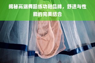 揭秘高端舞蹈练功鞋品牌，舒适与性能的完美结合