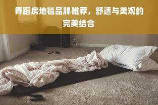 舞蹈房地毯品牌推荐，舒适与美观的完美结合