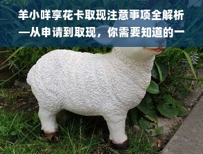 羊小咩享花卡取现注意事项全解析—从申请到取现，你需要知道的一切