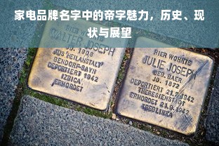 家电品牌名字中的帝字魅力，历史、现状与展望
