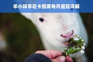 羊小咩享花卡额度每月提现详解