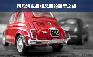 猎豹汽车品牌总监的转型之旅