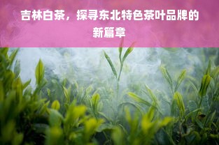 吉林白茶，探寻东北特色茶叶品牌的新篇章