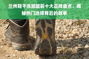 兰州鞋干洗加盟前十大品牌盘点，揭秘热门选择背后的故事