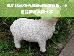 羊小咩享花卡和取现账单解析，使用指南与案例分享